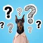 FAQ barf strava barfdog
