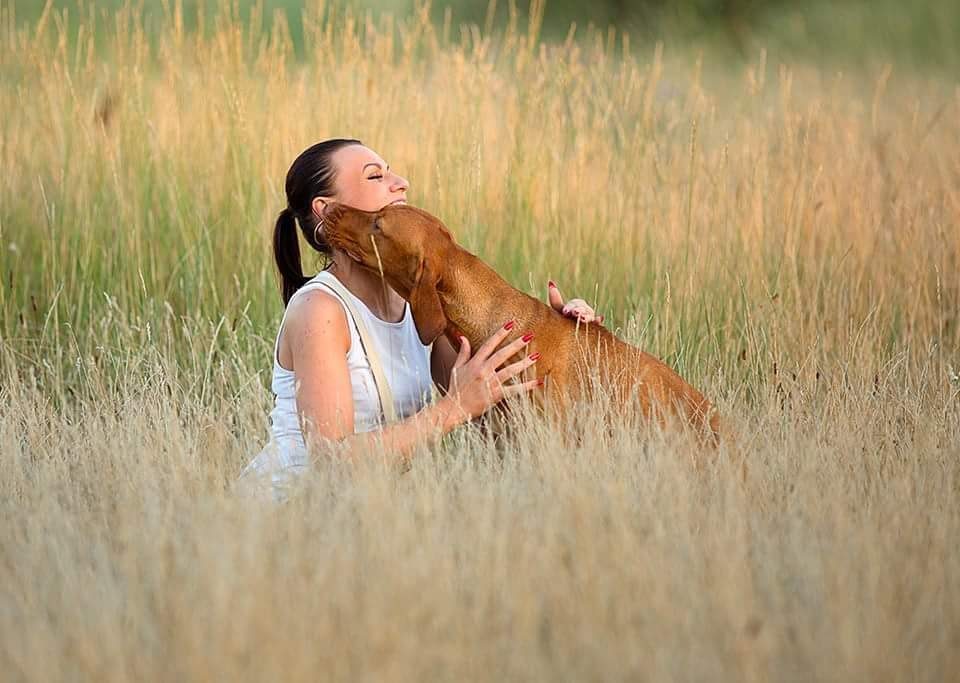 lucia barfdog